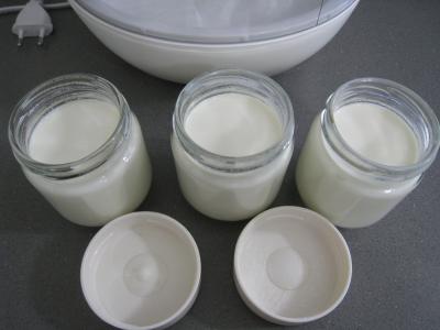 Yaourts au naturel avec ferments - 2.3