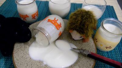Cuisine diététique : Pots de yarouts à la vanille en yaourtière