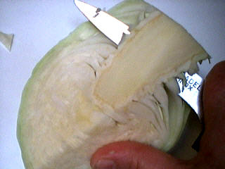 Parmentière à l'agneau - 2.4