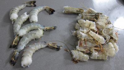 Riz minceur aux crevettes - 1.2