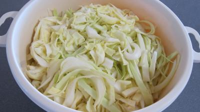 Chou aux lardons - 2.1