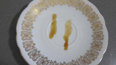 Pastèque en gelée au sucre entier - 5.2