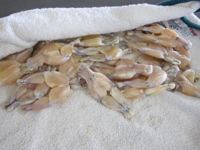 Cuisses de grenouilles aux fines herbes - 4.3