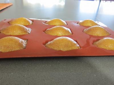 Madeleines de Commercy - 4.3