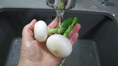 Risotto à la saumonette et encornet - 1.2