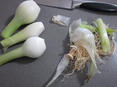 Fenouil en velouté et aux knackis (saucisses de Strasbourg) - 1.2