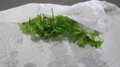 Sauce rémoulade - 3.3
