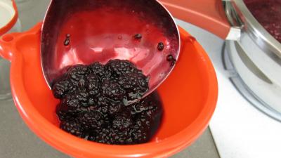 Confiture de mûres - 4.2