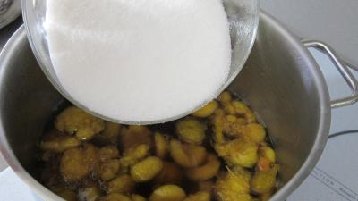 Liqueur de mirabelles au gin - 2.2