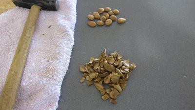 Palets aux amandes - 1.2