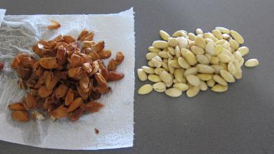 Palets aux amandes - 3.2