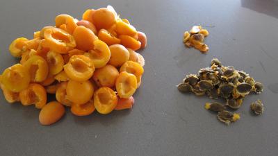 Confiture d'abricots - 1.2