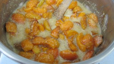 Confiture d'abricots au parfum de noix de coco - 4.1