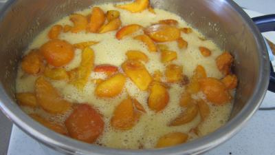 Confiture d'abricots au parfum de noix de coco - 4.2