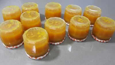 Confiture d'abricots au parfum de noix de coco - 8.1