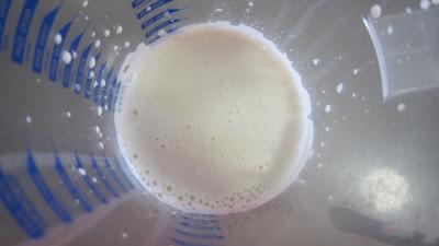 Gaspacho de melon au lait d'amandes et gambas - 4.2