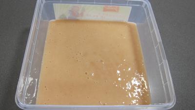 Granités aux nectarines et à la pêche - 3.2