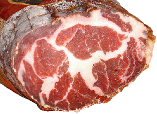 Photo : Coppa